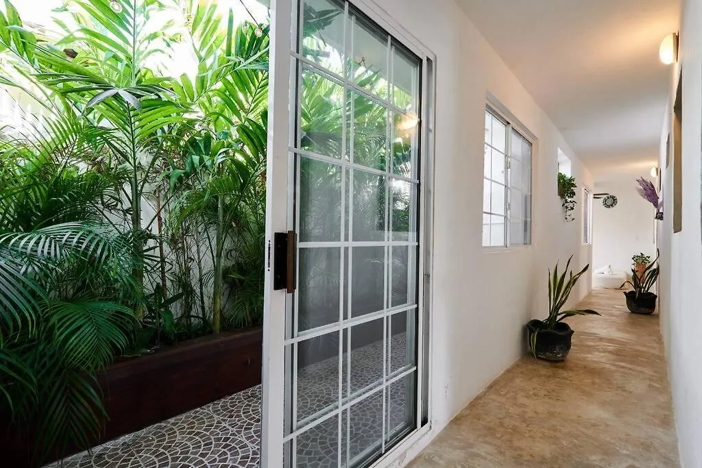 Appartement Super centric house 3 Kingsize and private garden à Tulum